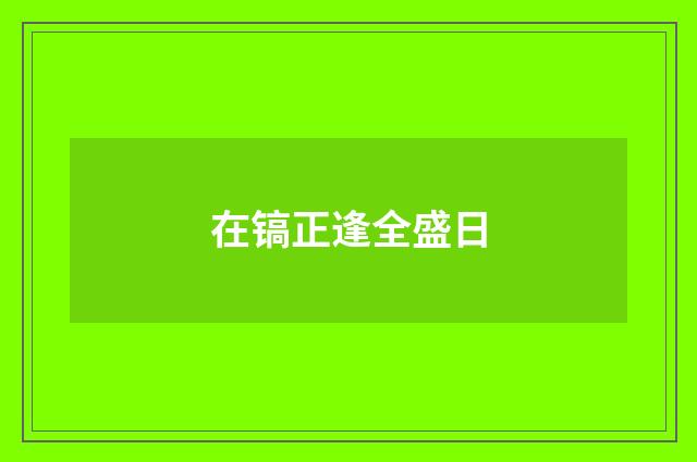 在镐正逢全盛日