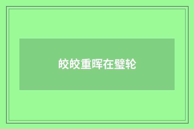 皎皎重晖在璧轮