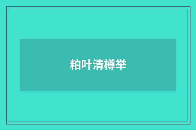 粕叶清樽举