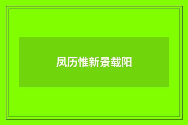 凤历惟新景载阳