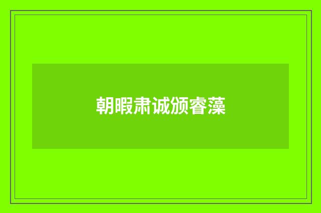 朝暇肃诚颁睿藻