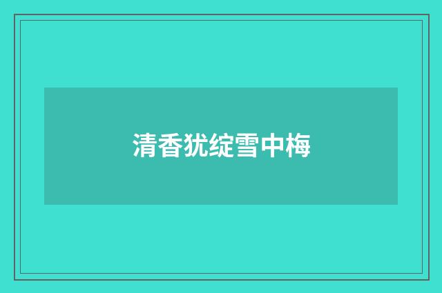 清香犹绽雪中梅