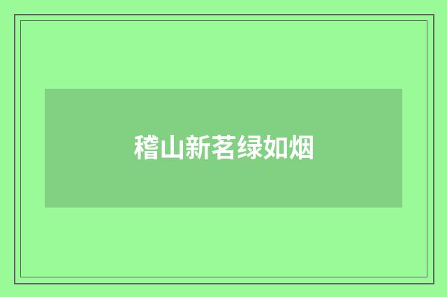 稽山新茗绿如烟