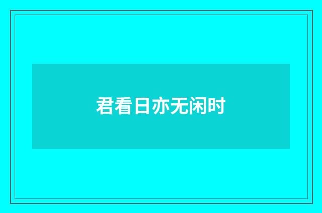 君看日亦无闲时