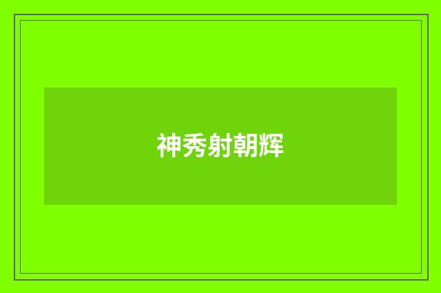 神秀射朝辉
