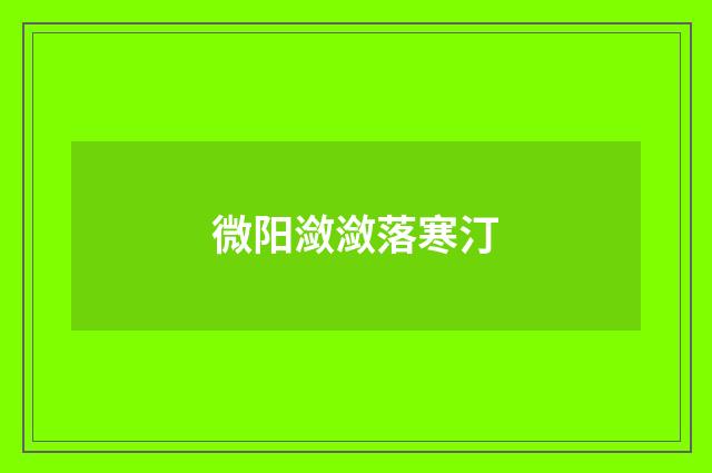 微阳潋潋落寒汀