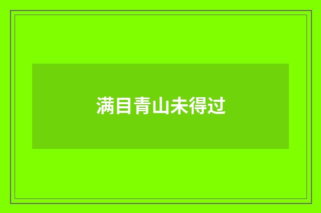 满目青山未得过