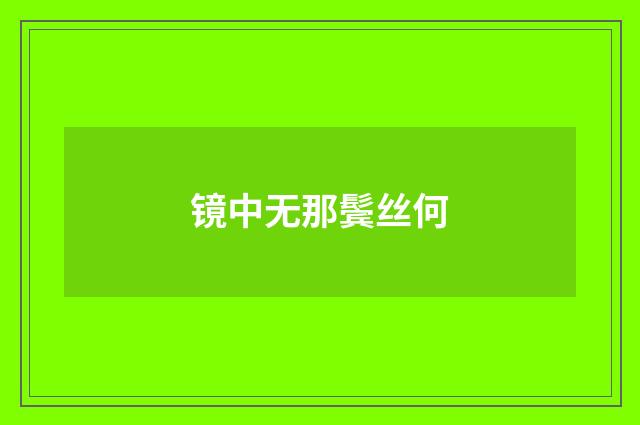 镜中无那鬓丝何