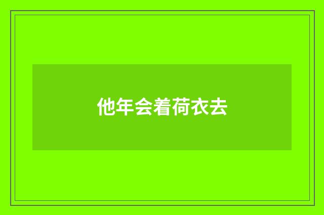 他年会着荷衣去