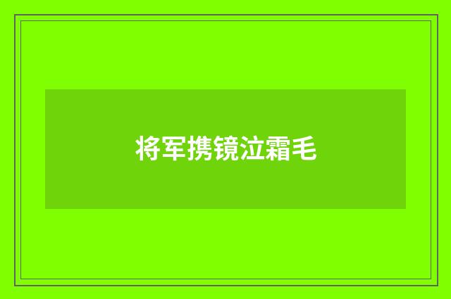 将军携镜泣霜毛