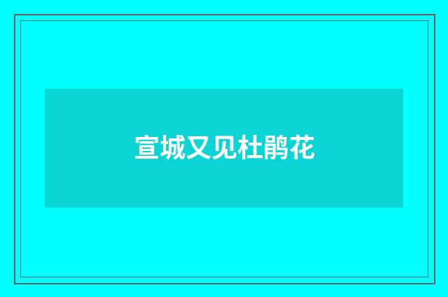 宣城又见杜鹃花