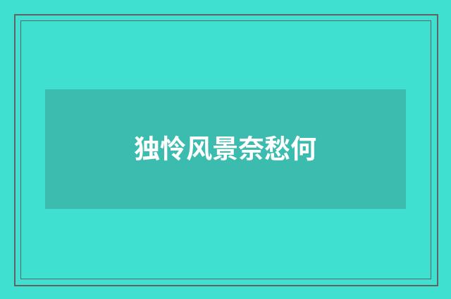 独怜风景奈愁何