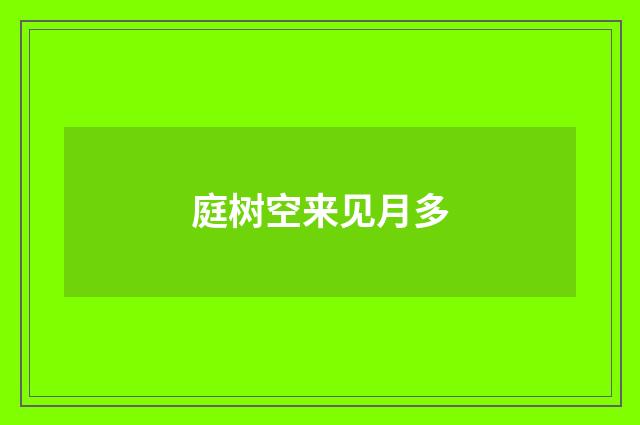 庭树空来见月多