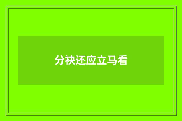 分袂还应立马看