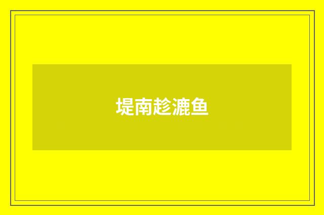 堤南趁漉鱼