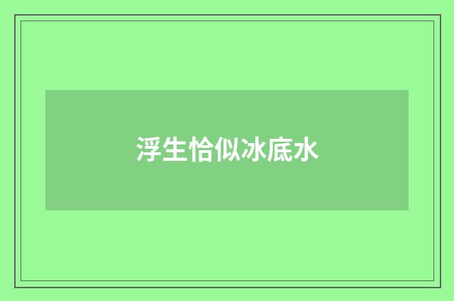 浮生恰似冰底水
