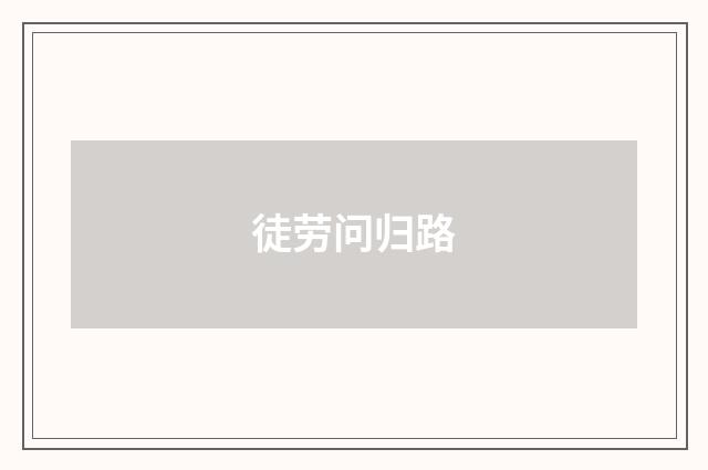 徒劳问归路