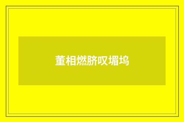 董相燃脐叹堳坞