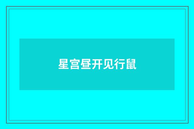星宫昼开见行鼠