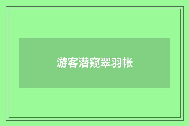 游客潜窥翠羽帐