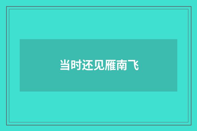 当时还见雁南飞