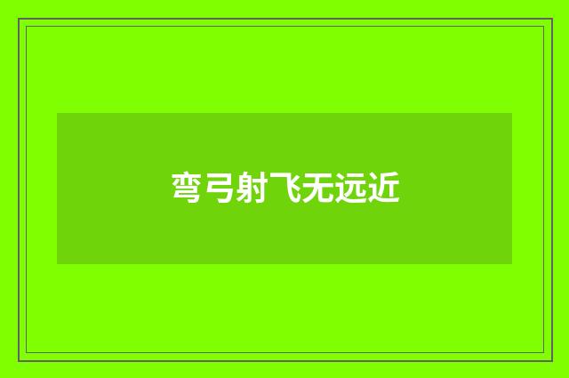弯弓射飞无远近
