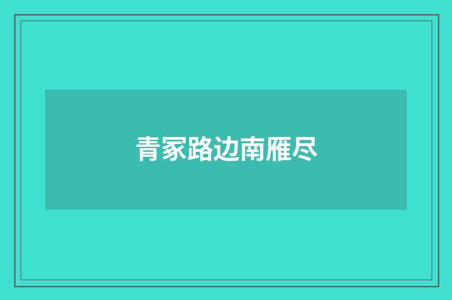 青冢路边南雁尽