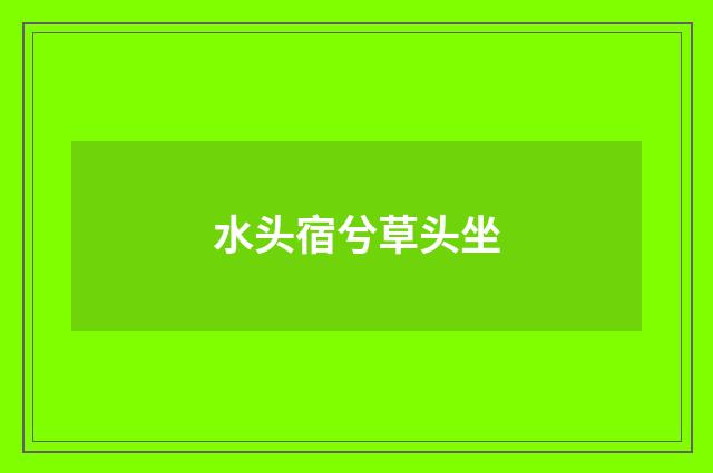 水头宿兮草头坐