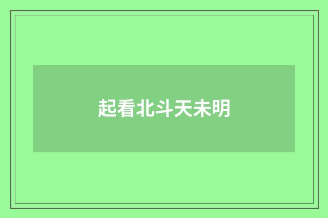 起看北斗天未明