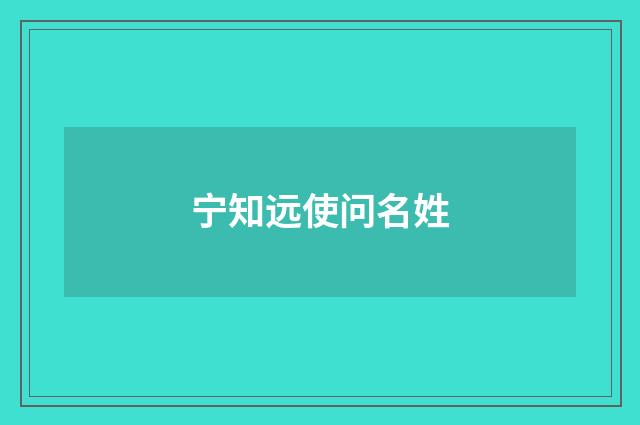 宁知远使问名姓