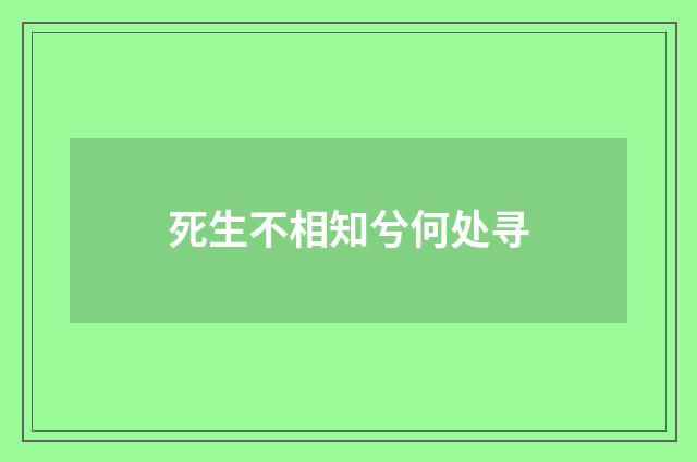死生不相知兮何处寻