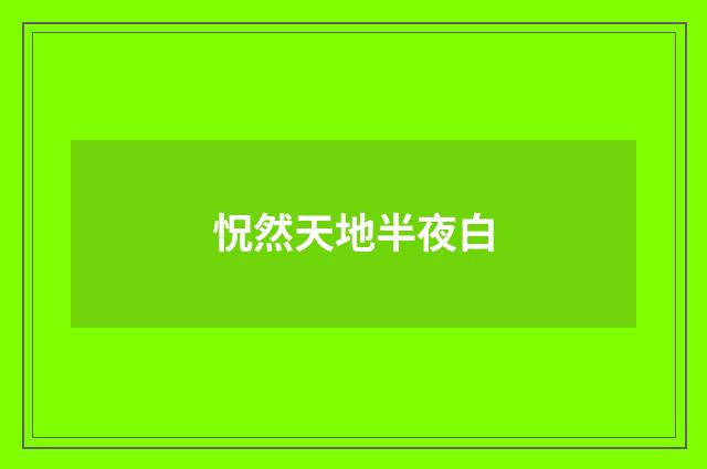 怳然天地半夜白