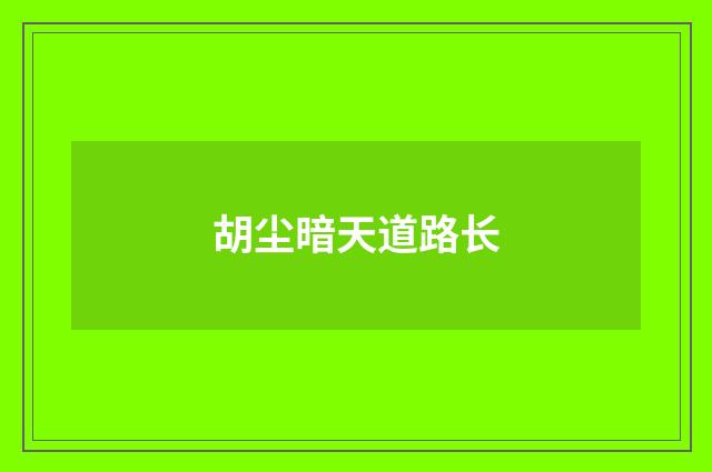 胡尘暗天道路长