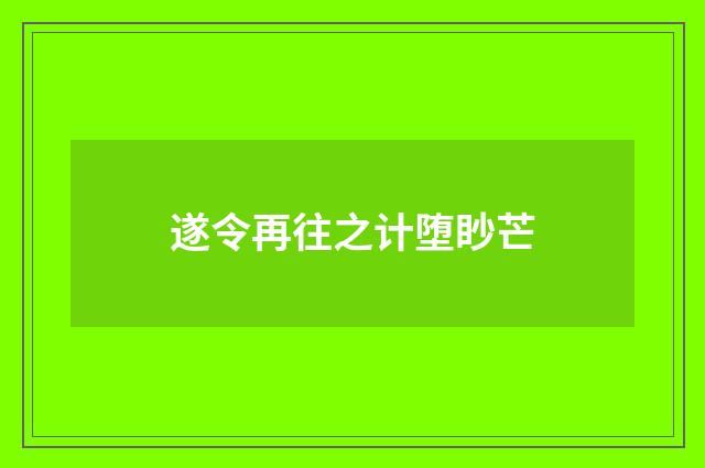 遂令再往之计堕眇芒