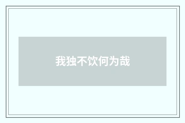 我独不饮何为哉