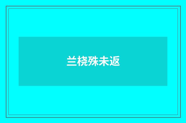 兰桡殊未返
