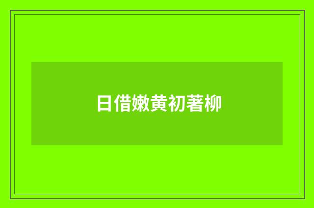 日借嫩黄初著柳