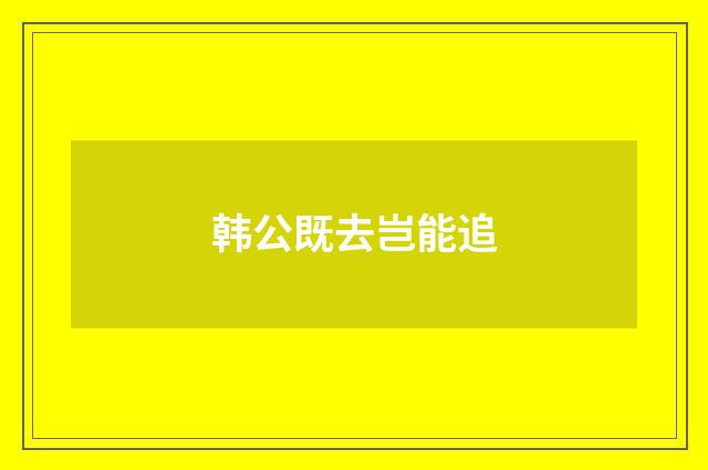 韩公既去岂能追