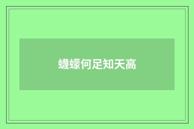 蠛蠓何足知天高