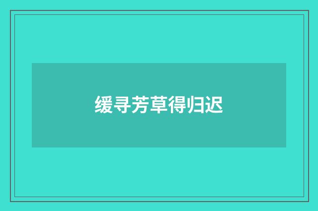 缓寻芳草得归迟