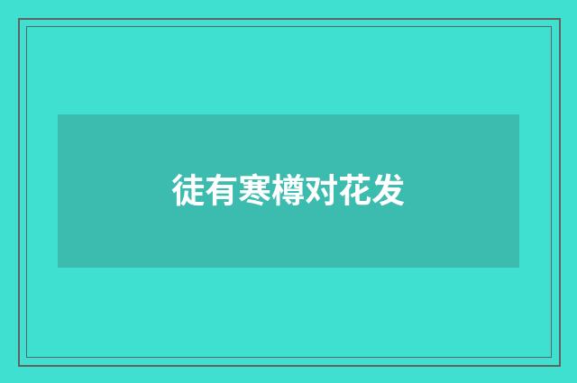 徒有寒樽对花发