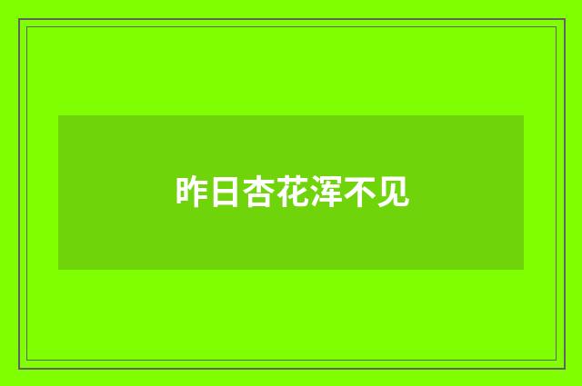 昨日杏花浑不见