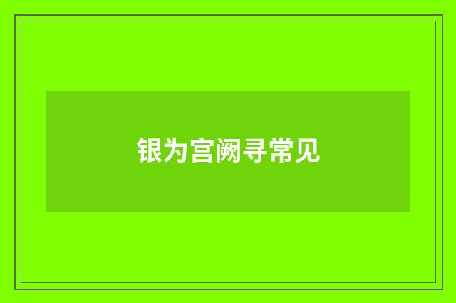 银为宫阙寻常见