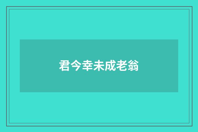 君今幸未成老翁