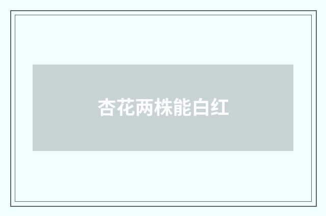 杏花两株能白红
