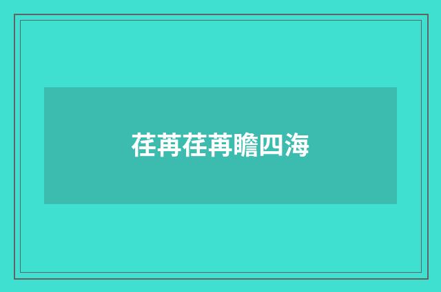 荏苒荏苒瞻四海
