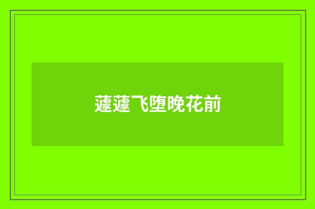 蘧蘧飞堕晚花前