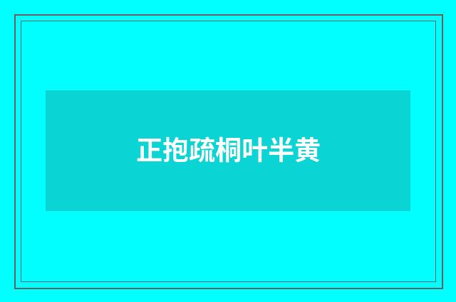 正抱疏桐叶半黄