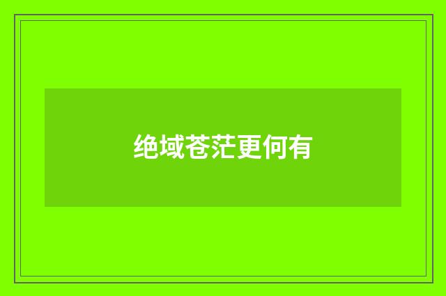 绝域苍茫更何有