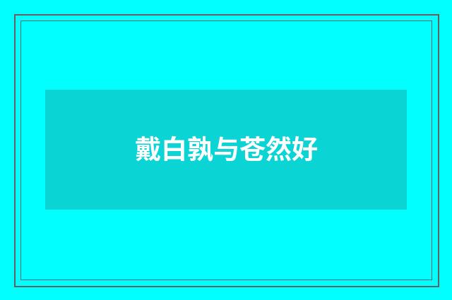 戴白孰与苍然好
